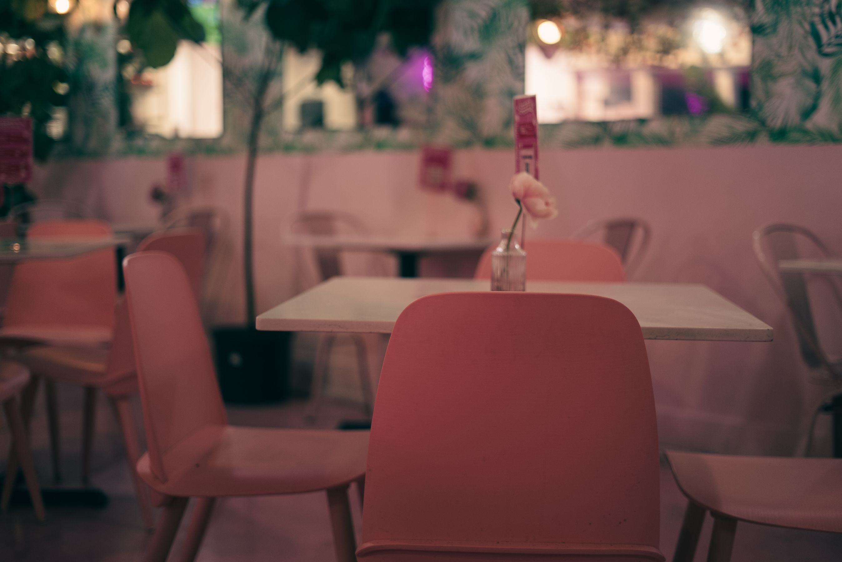 Dine-in &mdash; Mustang bakery and caf&eacute; in Noida